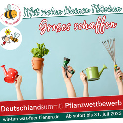Deutschland summt!-Pflanzwettbewerb 2023 gestartet