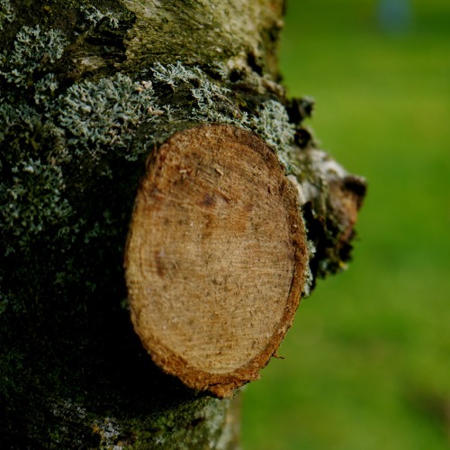 Sa 10.10. | 14 &ndash; 17 UhrWorkshop &raquo;terra preta&laquo;