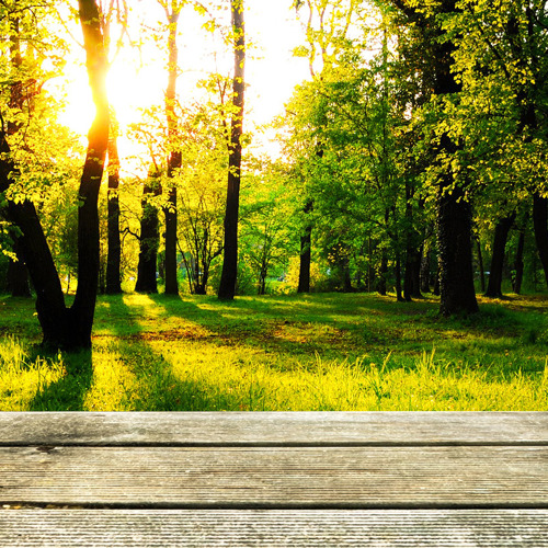 Kleingartenanlage "Am Park" in Teutschenthal 